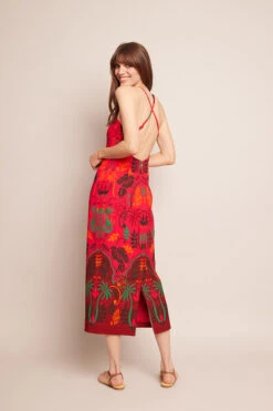 Dria Dress -Caracara Nyc Shop 1048 SIPI 0073